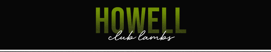 Howell Club Lambs